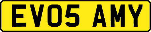EV05AMY