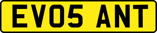 EV05ANT