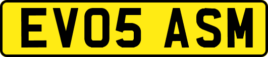 EV05ASM