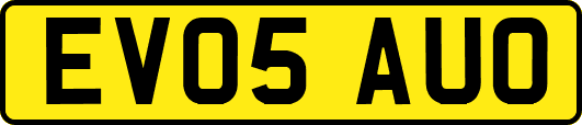EV05AUO
