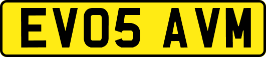 EV05AVM