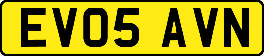 EV05AVN