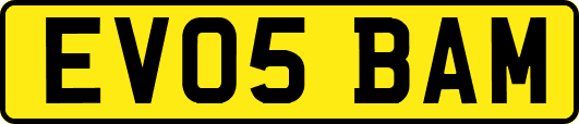 EV05BAM