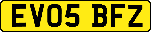 EV05BFZ
