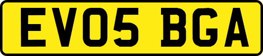 EV05BGA