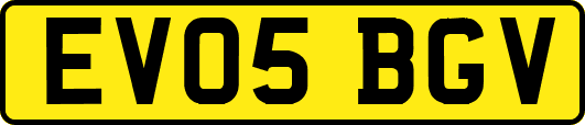 EV05BGV