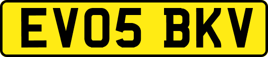 EV05BKV