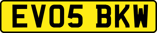 EV05BKW