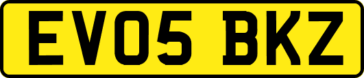 EV05BKZ