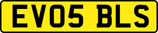 EV05BLS