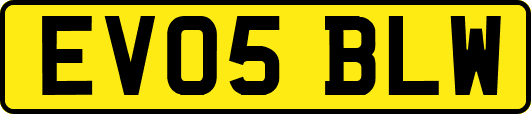 EV05BLW