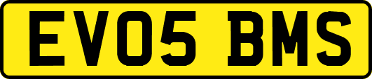 EV05BMS