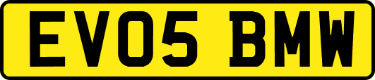 EV05BMW