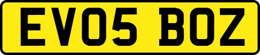 EV05BOZ