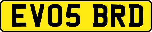 EV05BRD