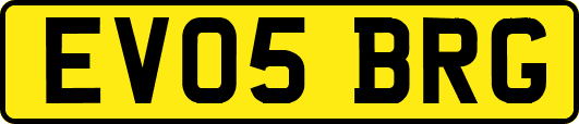 EV05BRG