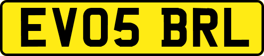 EV05BRL