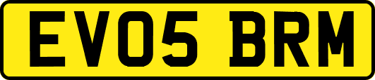 EV05BRM