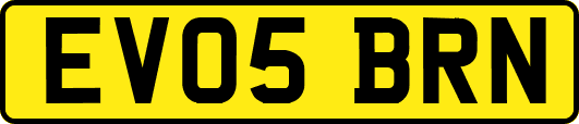 EV05BRN