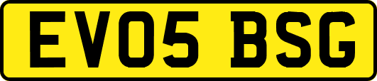 EV05BSG