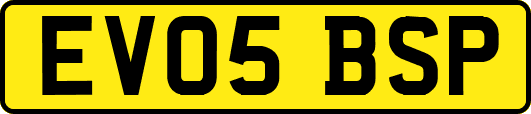 EV05BSP