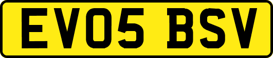 EV05BSV