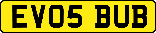 EV05BUB