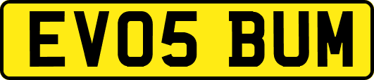 EV05BUM