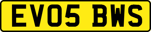 EV05BWS