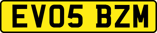 EV05BZM