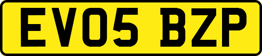 EV05BZP