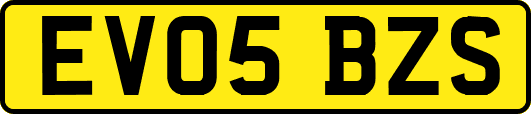 EV05BZS