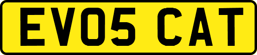 EV05CAT