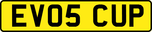 EV05CUP