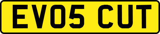EV05CUT