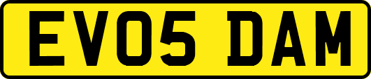 EV05DAM