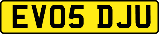 EV05DJU