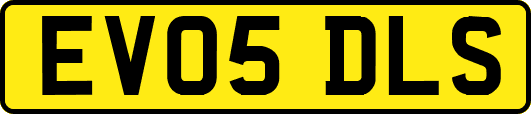 EV05DLS