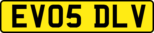 EV05DLV