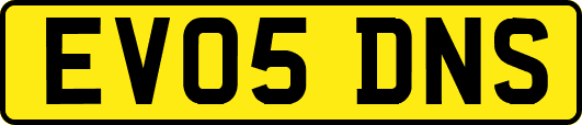 EV05DNS
