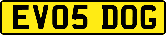 EV05DOG