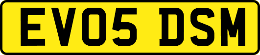 EV05DSM