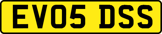 EV05DSS