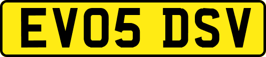 EV05DSV
