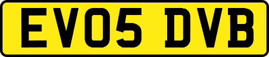 EV05DVB