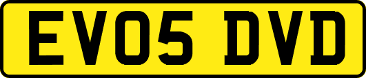 EV05DVD