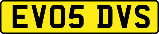 EV05DVS