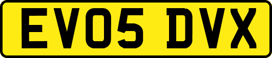 EV05DVX
