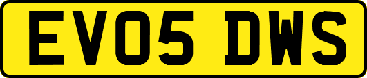 EV05DWS