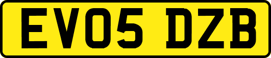 EV05DZB